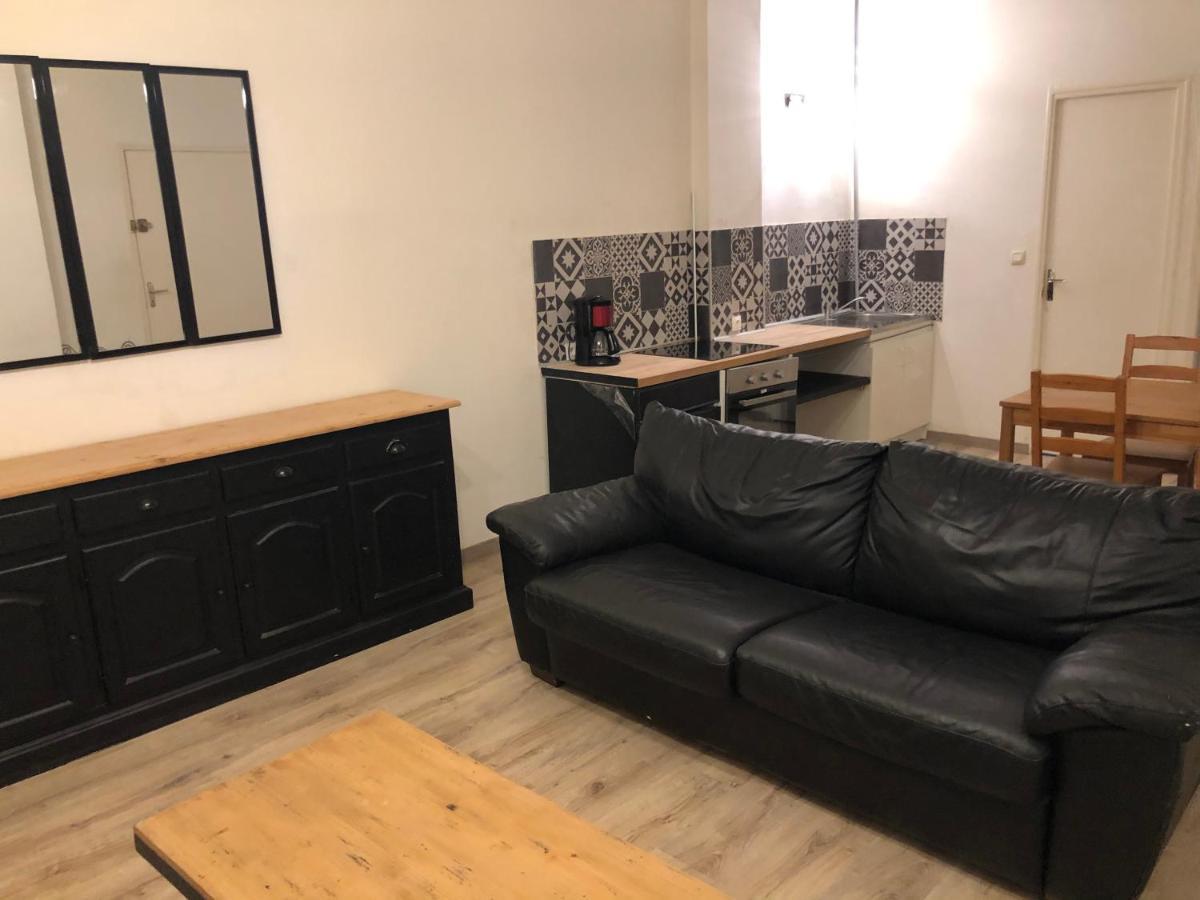 Appartement Et Son Jardin A Lille Fac De Droit Екстер'єр фото